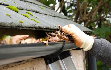 gutter cleaning Easter Knox, Angus