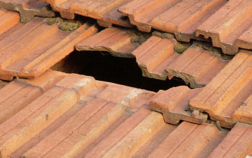 roof repair Easter Knox, Angus